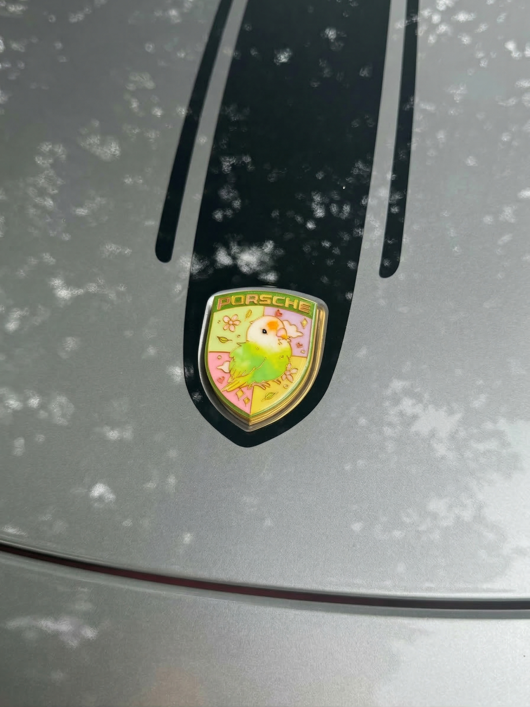 Porsche "Tropical Lovebird" Edition