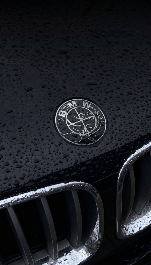 BMW "Dragon Claw" Heritage