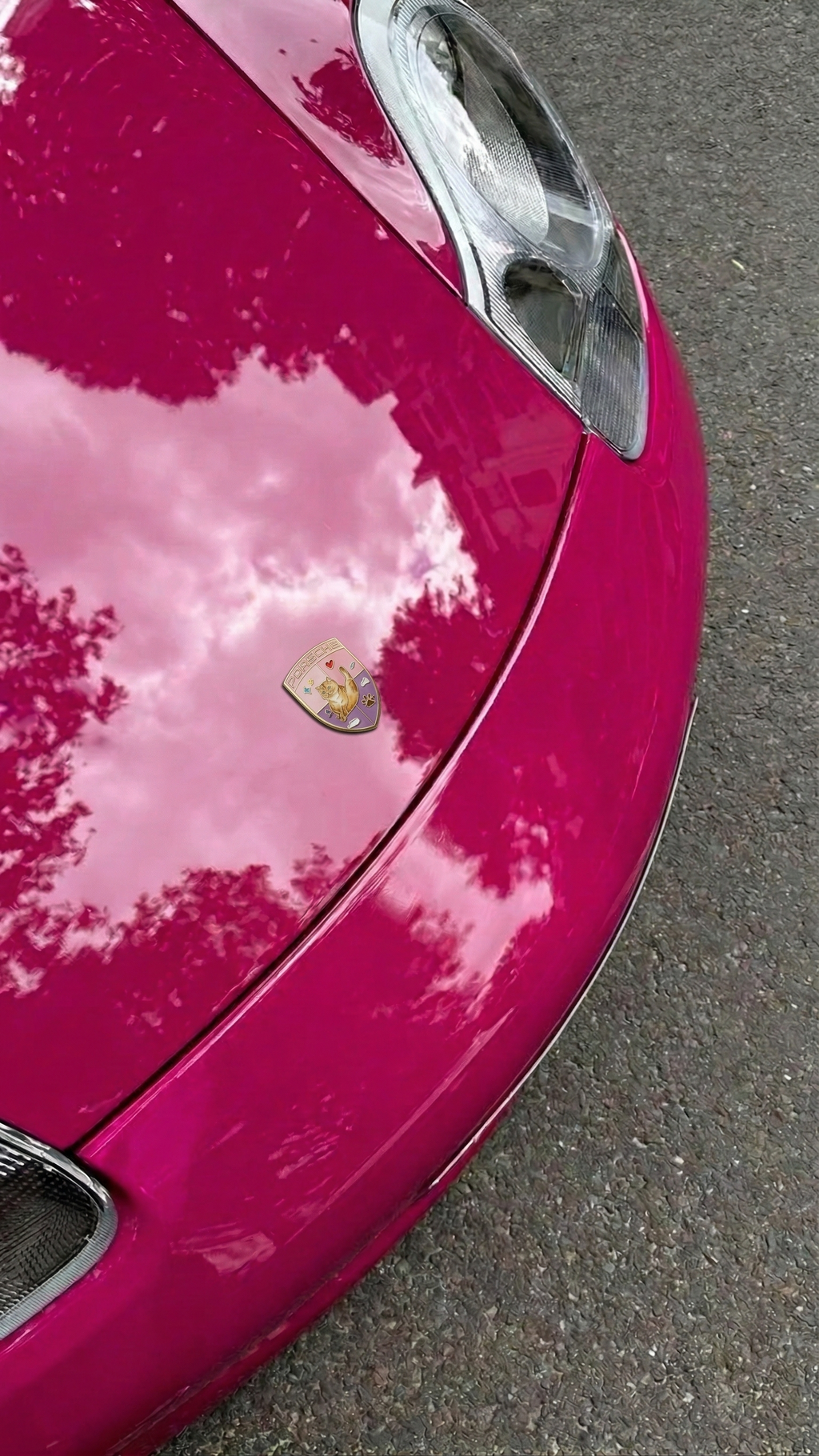 Porsche "Purr-formance" Cat Edition