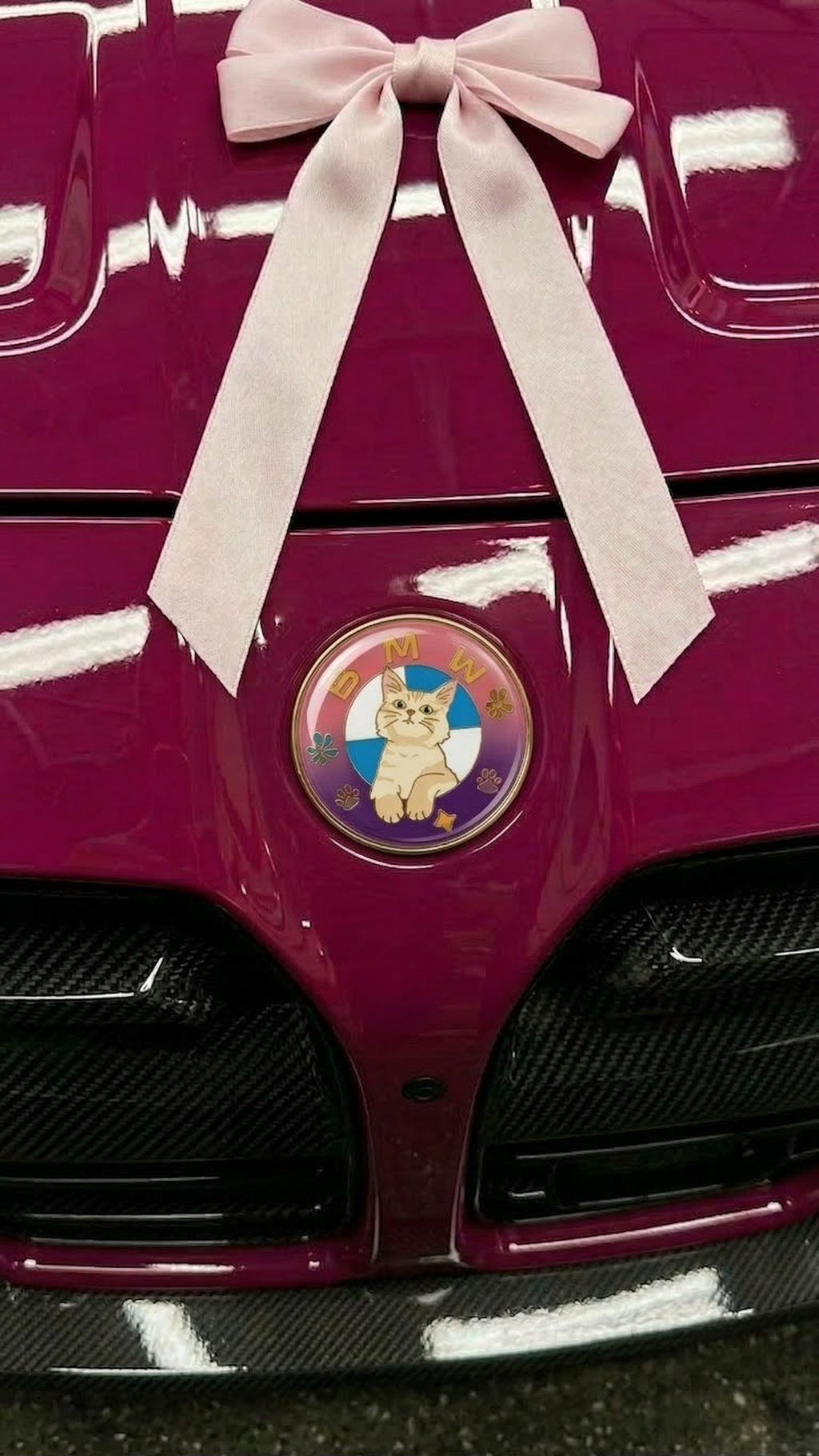 BMW "Sunset Kitty" Custom Edition