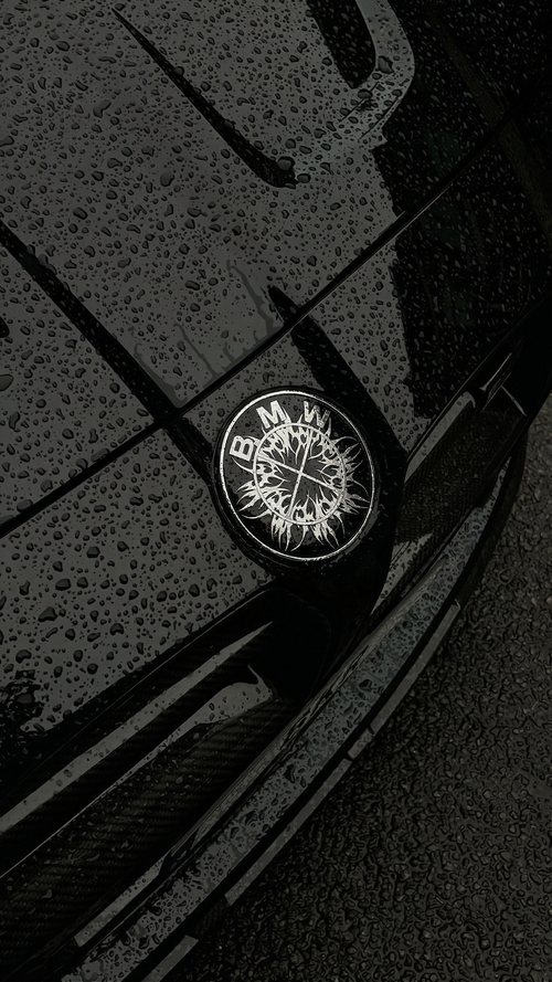 BMW "Fractal Spines"badge